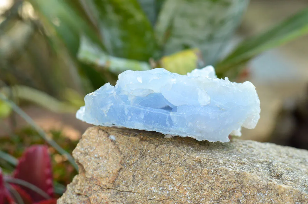 Natural Etched Blue Chalcedony Specimens x 5 From Nsanje, Malawi