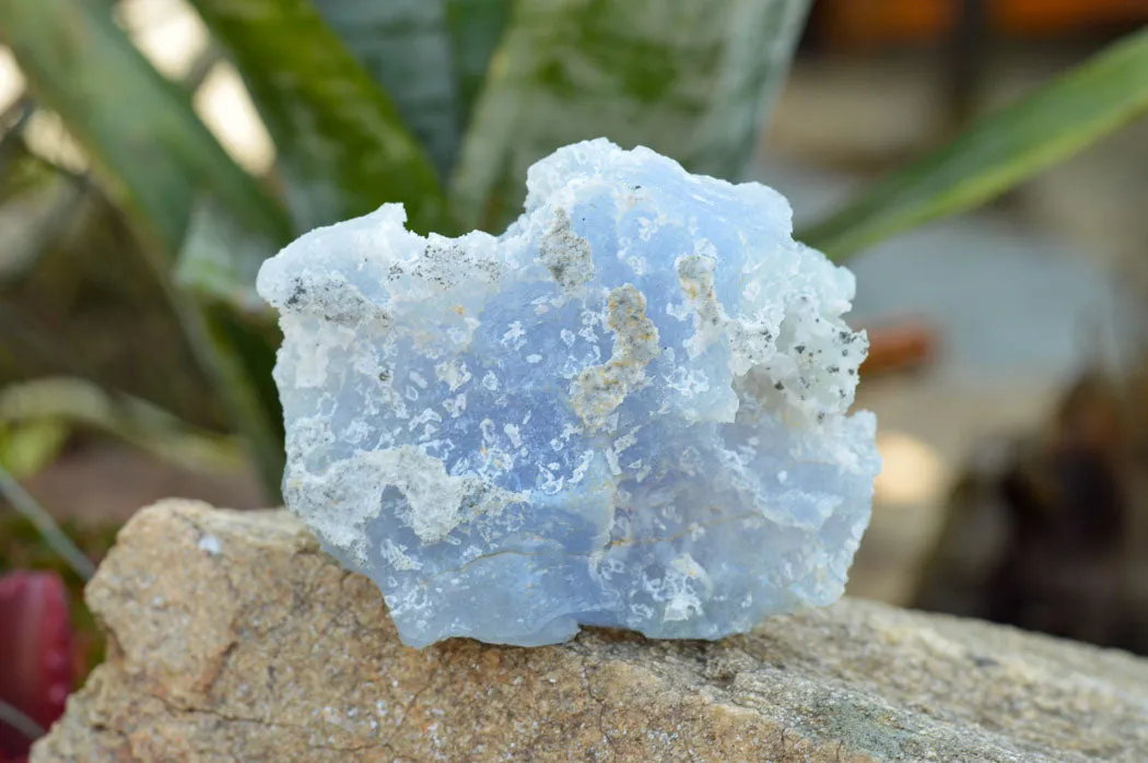 Natural Etched Blue Chalcedony Specimens x 5 From Nsanje, Malawi