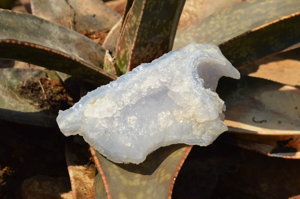 Natural Etched Blue Chalcedony Specimens x 5 From Nsanje, Malawi
