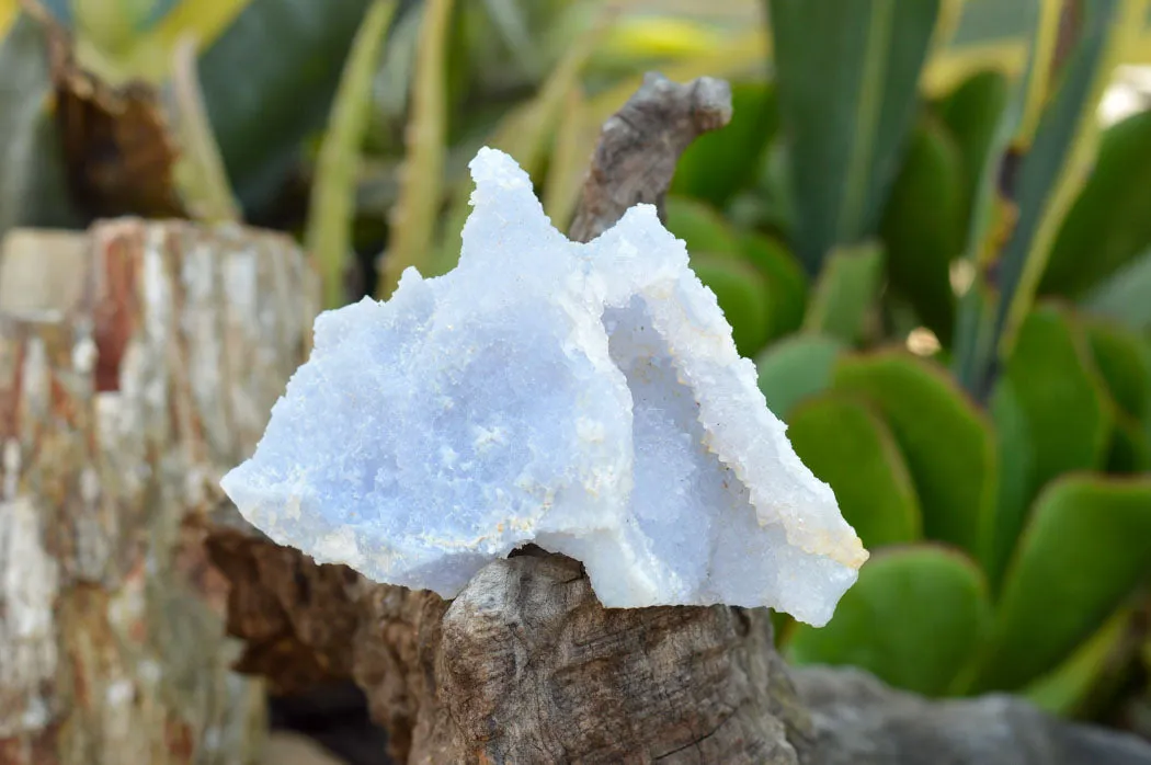 Natural Etched Blue Chalcedony Specimens x 5 From Nsanje, Malawi