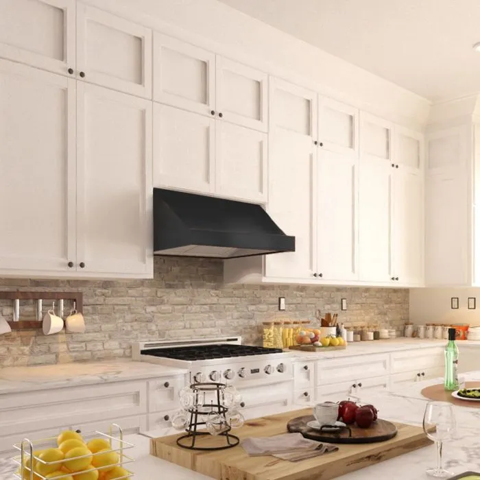ZLINE 30 in. Designer Series Under Cabinet Range Hood (8685B-30)